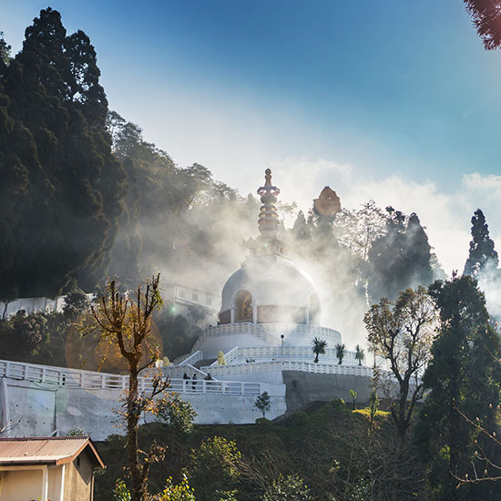 Timeless Darjeeling Experience