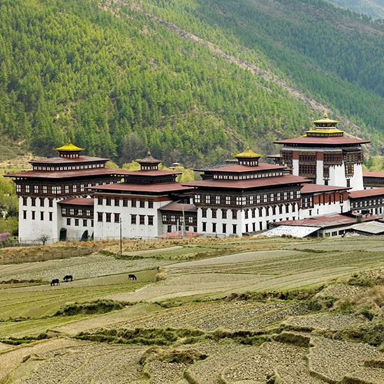 Bhutan Bliss Getaway