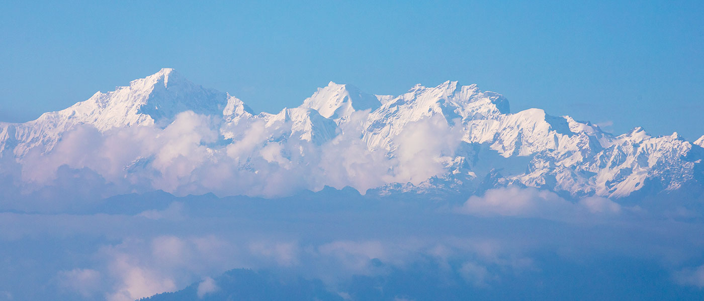 Classic Darjeeling Delight