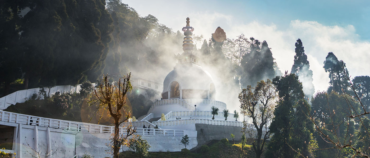 Timeless Darjeeling Experience